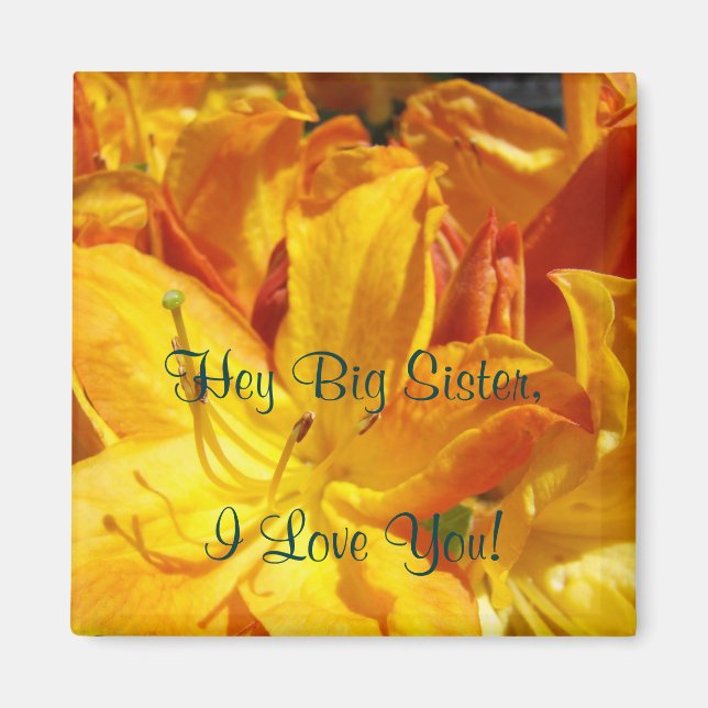 Imán Hey Gran Hermana I Love You! Magnet Gifts Rhodies (Frente)
