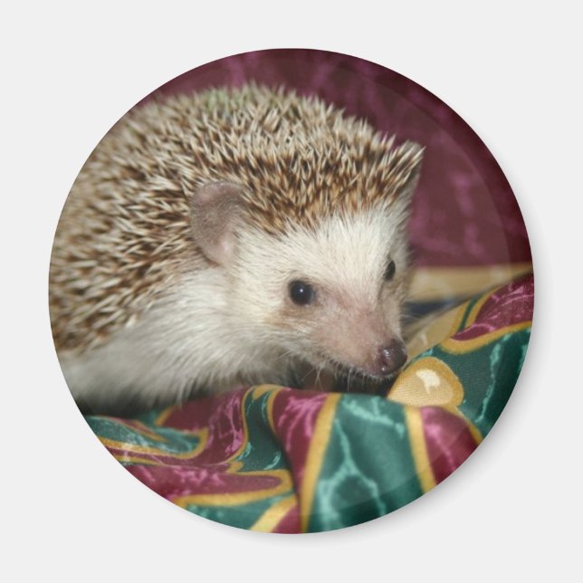 imán hh estándar (Frente)