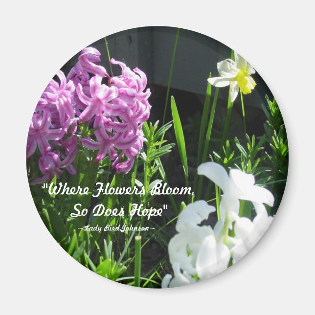Imán Hiacintos y Daffodil (Frente)