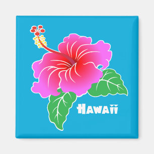 Imán Hibisco de Hawaii