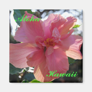 Imán Hibisco rosado en Hawaii