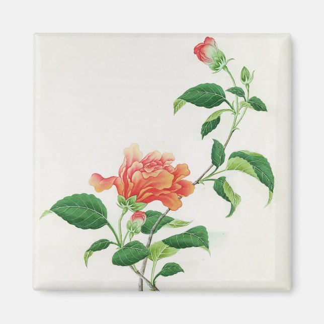 Imán Hibiscus (Frente)