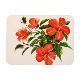 Imán Hibiscus