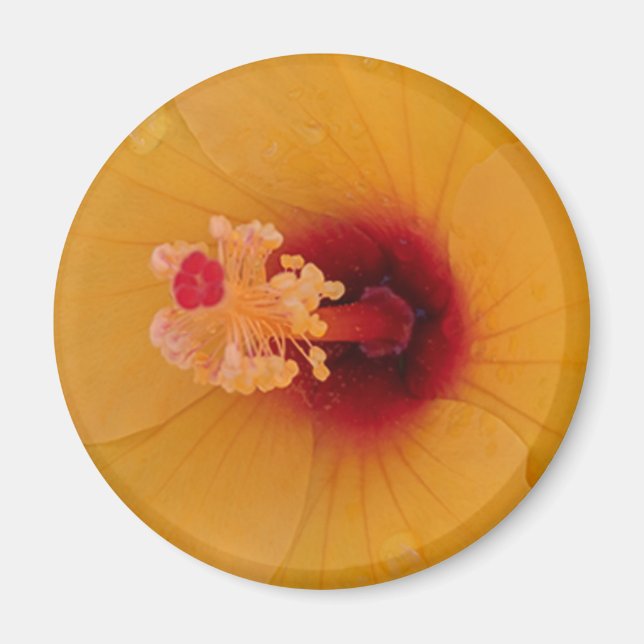 Imán Hibiscus (Frente)