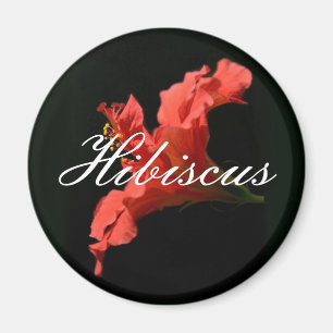 Imán Hibiscus