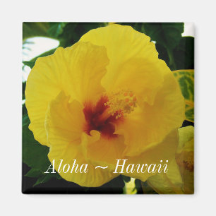 Imán Hibiscus amarillo amarillo de la flor del estado d