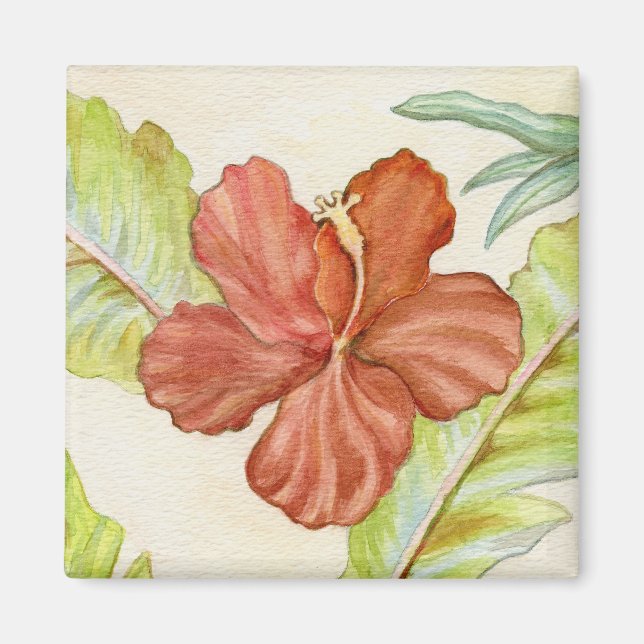 Imán Hibiscus Flower Magnet (Frente)