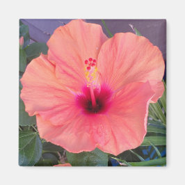 IMÁN HIBISCUS HOME