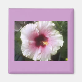 Imán Hibiscus Magnet