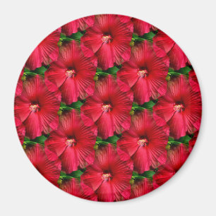 Imán Hibiscus Rojo........