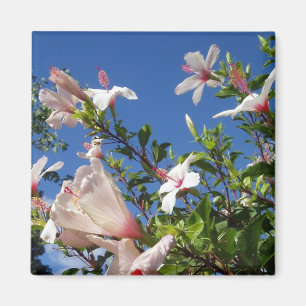 Imán Hibiscus Scenic Magnet