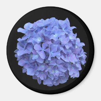 Imán Hidrangea Azul