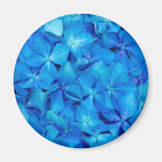 Imán Hidrangea Azul (Frente)