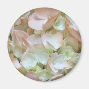 Imán - Hidrangea de Peach