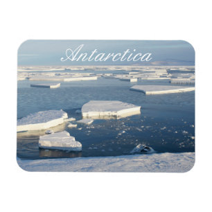 Imán Hielo flota en el sonido McMurdo, Antártida