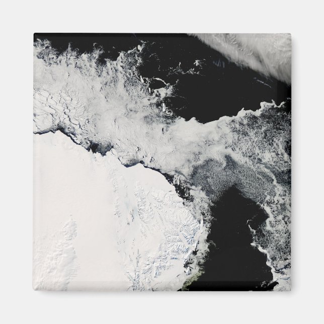 Imán Hielo marino en el Océano Antártico (Frente)