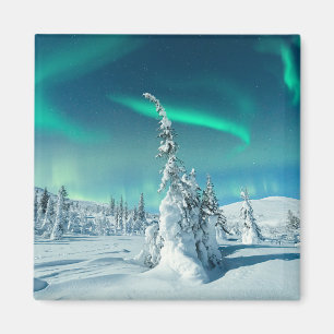 Imán Hielo y nieve   Luces boreales, Laponia, Finlandia