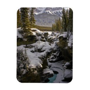Imán Hielo y nieve   Parque nacional Jasper Alberta, Ca