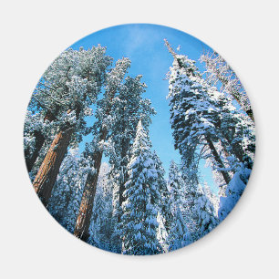 Imán Hielo y nieve   Parque nacional Sequoia, Californi