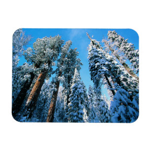 Imán Hielo y nieve Parque nacional Sequoia, Californi