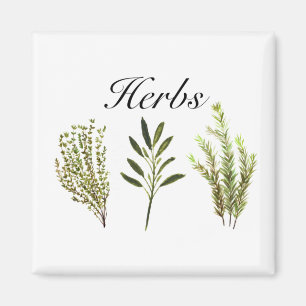 Imán Hierbas acuáticas Thyme Rosemary Sage Plants Pot