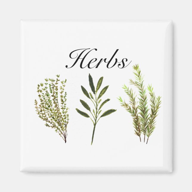 Imán Hierbas acuáticas Thyme Rosemary Sage Plants Pot (Frente)