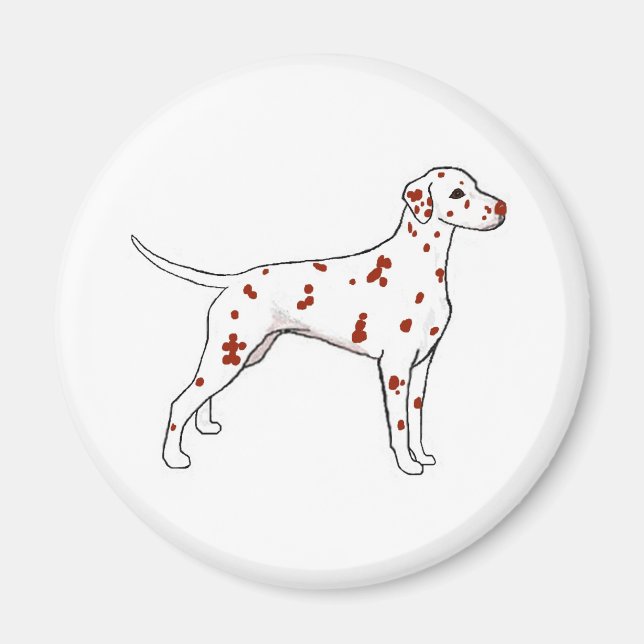 Imán Hígado Dalmatian (Frente)