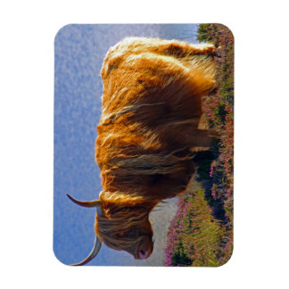 Imán Highland Cow Magnet