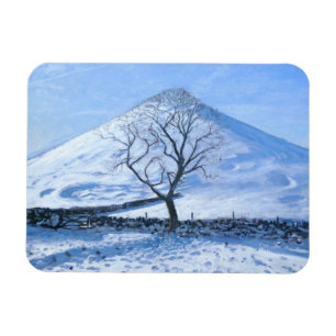 Imán Hill and Tree Derbyshire 2008