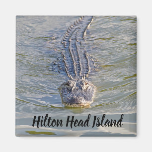 Imán Hilton Head Alligator Magnet