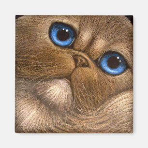 Imán HIMALAYAN del CAT PERSA