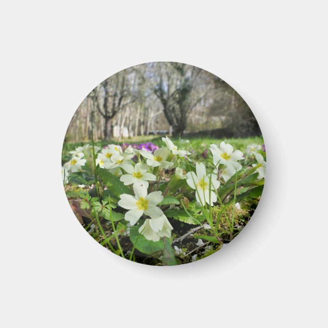 Imán Hinchera de la primavera (Frente)