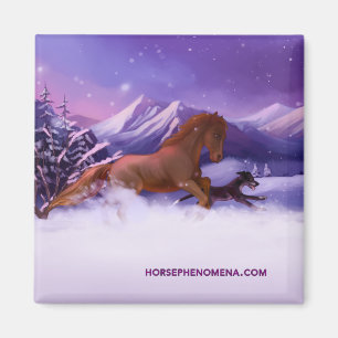 Imán Hípica Fenómeno Winter Magnet