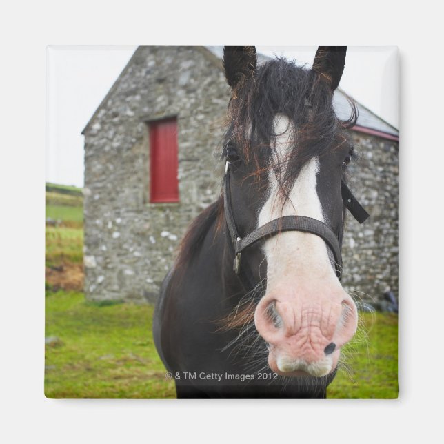 Imán Hípica y granero de piedra en la Inglaterra rural (Frente)