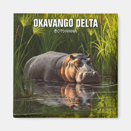 Imán Hipo en el Delta del Okavango
