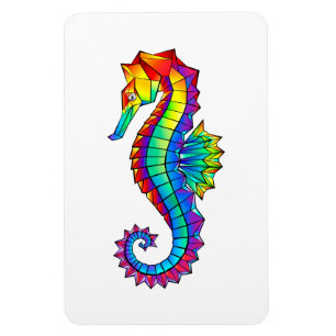 Imán Hipoahoría marino poligonal arcoiris