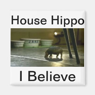 Imán Hipopótamo de la casa