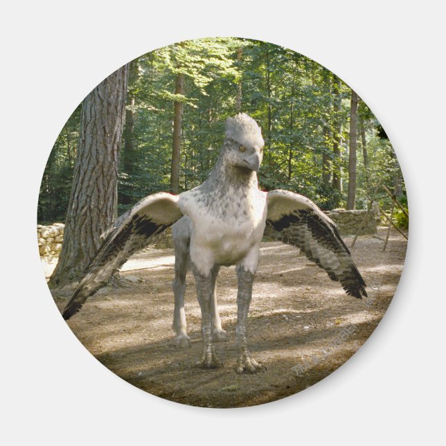 Imán Hippogriff (Frente)
