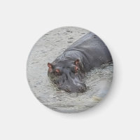 Hippoposterus