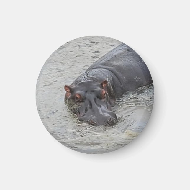 Imán Hippoposterus (Frente)