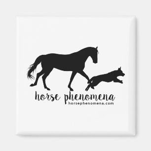 Imán Híptico Fenómeno