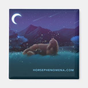 Imán Híptico Fenómeno Nocturno