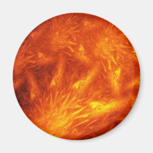 Imán Historia del jefe de muchos soles