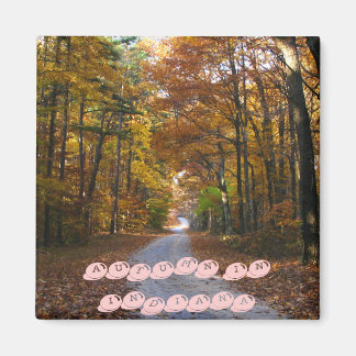 Imán HNF Autumn Lane, OTOÑO EN INDIANA