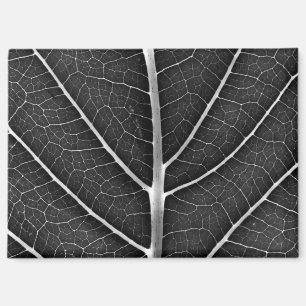 Imán Hoja brillante en blanco y negro en primer plano