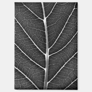 Imán Hoja brillante en blanco y negro en primer plano