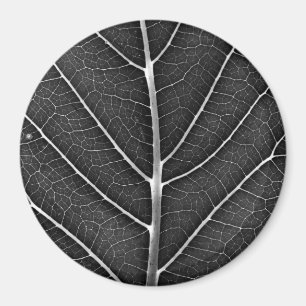Imán Hoja brillante en blanco y negro en primer plano