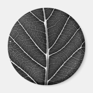 Imán Hoja brillante en blanco y negro en primer plano