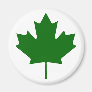 Imán Hoja de arce DkTransp verde los regalos de Zazzle