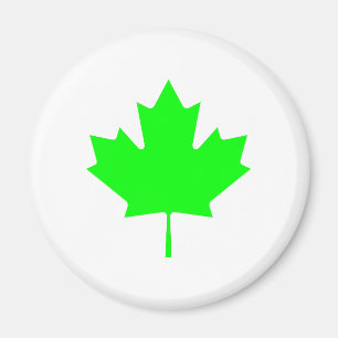 Imán Hoja de arce LtTransp verde los regalos de Zazzle
